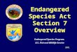 Endangered Species Act Section 7 Overview Endangered Species Program, U.S. Fish and Wildlife Service 2001
