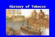 History of Tobacco. Origin 1 st encounter: –Christopher Columbus –Oct 14, 1492 Native to Americas –Desert Southwest –Slopes of Continental Pacific side