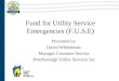 Fund for Utility Service Emergencies (F.U.S.E) Presented by David Whitehouse Manager Customer Service Peterborough Utility Services Inc