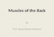 Muscles of the Back By Prof. Saeed Abouel Makarem