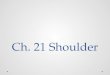Ch. 21 Shoulder. Objectives Name the three articulations that constitute the shoulder girdle complex. Describe how stability of the shoulder is maintained