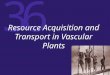 36 Resource Acquisition and Transport in Vascular Plants