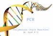 Polymerase Chain Reaction By: Sarah D ^2. PCR stands for ‘polymerase chain reaction’. PCR is the amplification of DNA sequence by repeated cycles of strand
