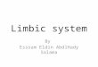 Limbic system By Esssam Eldin AbdlHady Salama. Objectives At the end of the lecture, you should be able to:  Describe the components of the limbic system