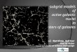 Subgrid models of active galactic nuclei in clusters of galaxies Paul Matthew Sutter Paul M. Ricker Univ. of Illinois at Urbana-Champaign Frontiers in