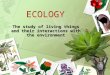 ECOLOGY The study of living things and their interactions with the environment