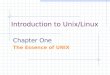 Introduction to Unix/Linux Chapter One The Essence of UNIX