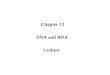 Chapter 12 DNA and RNA Lecture. Order! Genes are made of DNA, a large, complex molecule. DNA is composed of individual units called nucleotides. Three