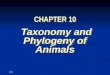 10-1 CHAPTER 10 Taxonomy and Phylogeny of Animals Taxonomy and Phylogeny of Animals