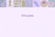 Viruses. Objective To compare the structures and functions of viruses to cells and describe the role of viruses in causing diseases and conditions, such