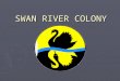 SWAN RIVER COLONY. ► The first recorded Europeans to sight the land where Perth is now located were the Dutch. ► Most likely the first visitor to the