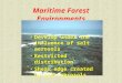 Maritime Forest Environments Develop under the influence of salt aerosols Restricted distribution Shear edge created by salt aerosols