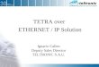 TETRA over ETHERNET / IP Solution Ignacio Callen Deputy Sales Director TELTRONIC S.A.U