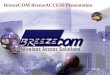 BreezeCOM BreezeACCESS Presentation. 2 2 Introducing BreezeACCESS – the First Internet-age WLL