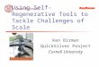 Using Self-Regenerative Tools to Tackle Challenges of Scale Ken Birman QuickSilver Project Cornell University