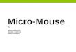 Micro-Mouse By Mohamad Samhat Narciso Lumbreras Hasan Almatrouk