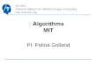 NA-MIC National Alliance for Medical Image Computing  Algorithms MIT PI: Polina Golland