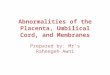 Abnormalities of the Placenta, Umbilical Cord, and Membranes Prepared by: Mr’s Raheegeh Awni