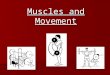 Muscles and Movement. Last lesson (Previous Learning) Warm-up & Cool-down Warm-up Pulse Raising & Stretching to reduce risk of injury & prepare the body