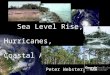 Sea Level Rise, Hurricanes, Coastal Adaptation Peter Webster