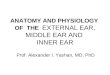 ANATOMY AND PHYSIOLOGY OF THE EXTERNAL EAR, MIDDLE EAR AND INNER EAR Prof. Alexander I. Yashan, MD, PhD