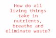 How do all living things take in nutrients, breathe and eliminate waste?