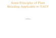Some Principles of Plant Breeding Applicable to TACF F. V. Hebard Research Farms Meadowview, VA Fred@acf.org 