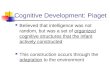 Cognitive Development: Piaget Believed that intelligence was not random, but was a set of organized cognitive structures that the infant actively constructed