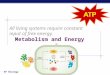 AP Biology All living systems require constant input of free energy. Metabolism and Energy