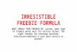 IRRESISTIBLE FREEBIE FORMULA WHAT SHOULD YOUR FREEBIE BE, survey, what type of freebie works best for various niches; the right freebie for strategy sessions,