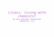 Lilacs: living with chemists? By one ordinary researcher (observer :o))
