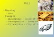 Phil Meaning – Love Example – ailurophile - lover of cats – chrysophilist – lover of gold – Philadelphia – City of love
