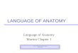 LANGUAGE OF ANATOMY Language of Anatomy Martini Chapter 1 Credit: Portland Community College Edited 2009
