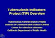 Tuberculosis Indicators Project (TIP) Overview Tuberculosis Control Branch (TBCB ) Division of Communicable Disease Control Center for Infectious Diseases