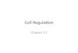 Cell Regulation Chapter 5.3. KEY CONCEPT Cell cycle regulation is necessary for healthy growth
