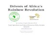 Drivers of Africa's Rainbow Revolution By Lindiwe Majele Sibanda (Phd) Food, Agriculture and Natural Resources Policy Analysis Network policy@fanrpan.org