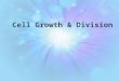 Www.free-ppt-templates.com Cell Growth & Division