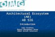 Architectural Ecosystem (AE) AB SIG Introduction Cory Casanave Object Management Group Model Driven Solutions