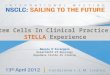 Stem Cells In Clinical Practice: STELLA Experience Manolo D’Arcangelo Department of Oncology Ospedale Civile di Livorno