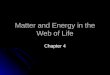 Matter and Energy in the Web of Life Chapter 4. What Are Atoms? 1) Smallest particles that retain properties of an element 1) Smallest particles that
