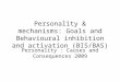 Personality & mechanisms: Goals and Behavioural inhibition and activation (BIS/BAS) Personality : Causes and Consequences 2009