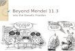 Beyond Mendel 11.3 Into the Genetic Frontier. Genes can be inherited based on various patterns Mendel’s Dominance vs. Recessive Incomplete dominance Co-dominance
