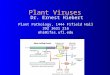 Plant Viruses Dr. Ernest Hiebert Plant Pathology, 1444 Fifield Hall 392 3631 216 ehi@ifas.ufl.edu