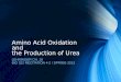Amino Acid Oxidation and the Production of Urea LEHNINGER CH. 18 BIO 322 RECITATION 4-2 / SPRING 2013