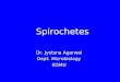Spirochetes Dr. Jyotsna Agarwal Dept. Microbiology KGMU