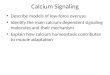 Calcium Signaling Describe models of low-force overuse Identify the main calcium-dependent signaling molecules and their mechanism Explain how calcium