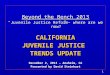 11 Beyond the Bench 2013 “Juvenile Justice Reform– where are we now?” CALIFORNIA JUVENILE JUSTICE TRENDS UPDATE December 2, 2013 – Anaheim, CA Presented