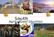 South Africa Agricultural Situation 2011. Economic Highlights Five year average real GDP growth of 3.7%, higher then the world average of 3.3% but lower