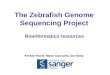 Kerstin Howe, Mario Caccamo, Ian Sealy The Zebrafish Genome Sequencing Project Bioinformatics resources