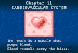 Chapter 11 CARDIOVASCULAR SYSTEM The heart is a muscle that pumps blood. Blood vessels carry the blood